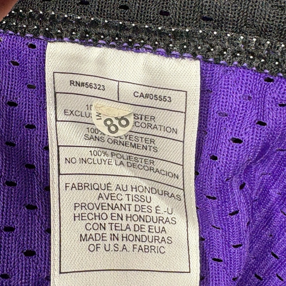 Nike Team Sacramento Kings Mike Bibby Basketball Jersey Mens 2XL Purple NBA Mesh - Picture 6 of 11